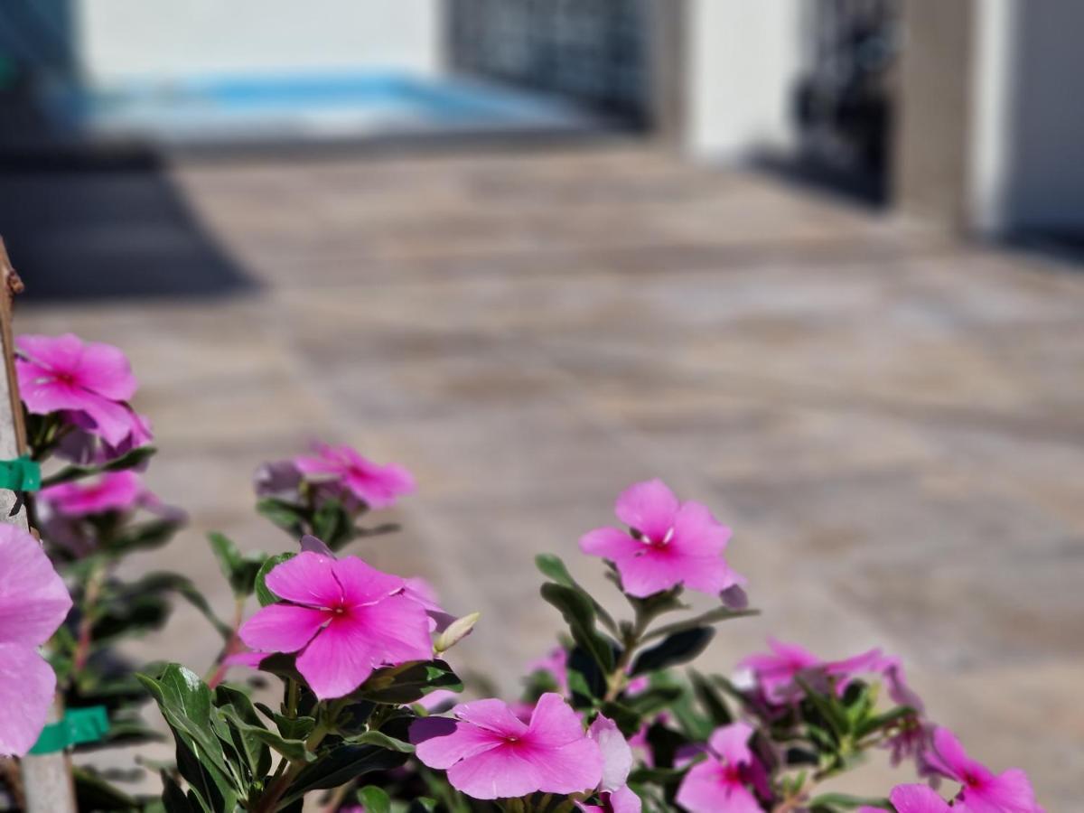 Del Parque Flats Balneario De Pina Vila Málaga Exterior foto